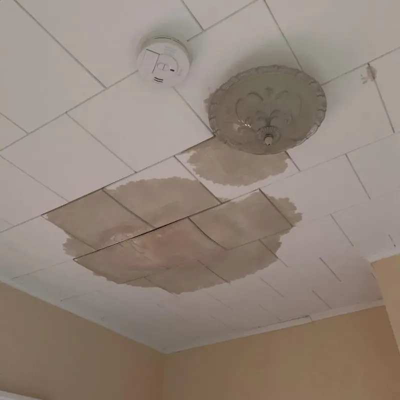 Ceiling Water Damage Repair in Marshall County, MS