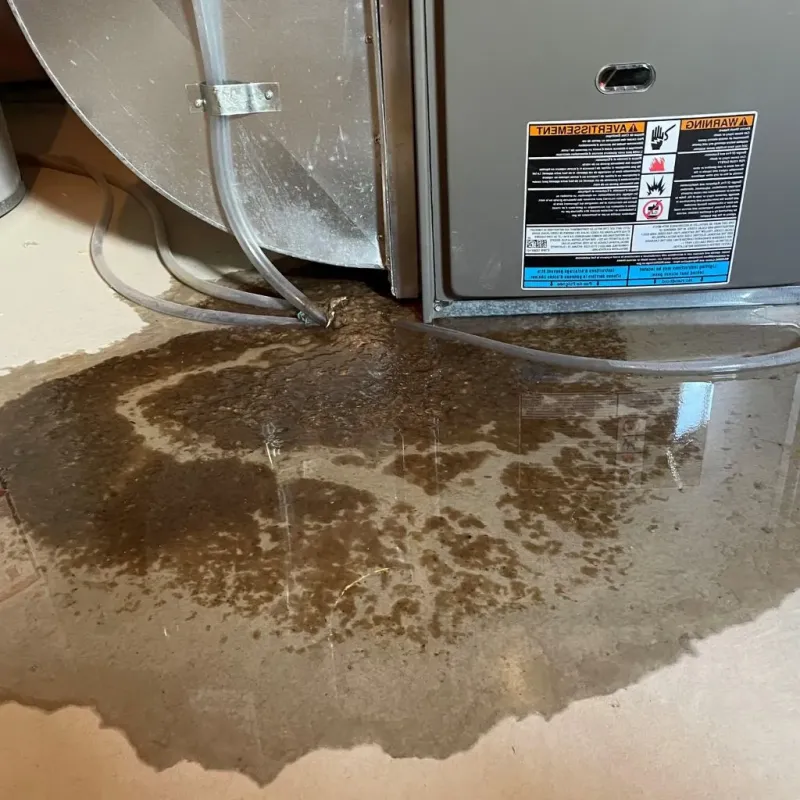 Pipe Burst and Leak Restoration in Marshall County, MS