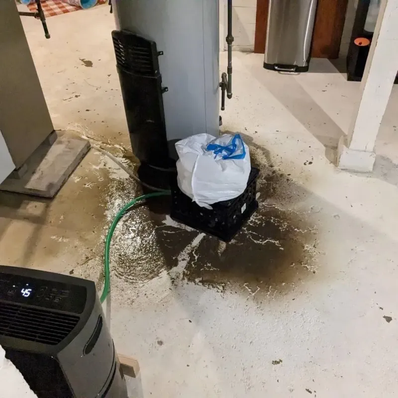 Sewage Backup Cleanup Service in Marshall County, MS